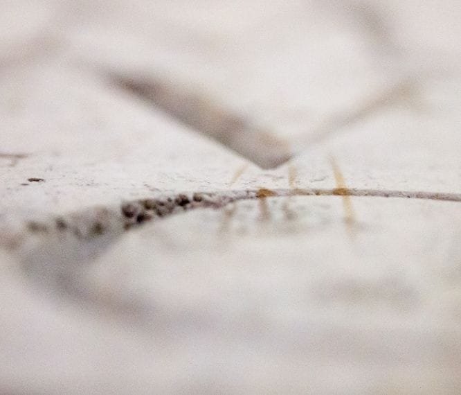 погребение 4